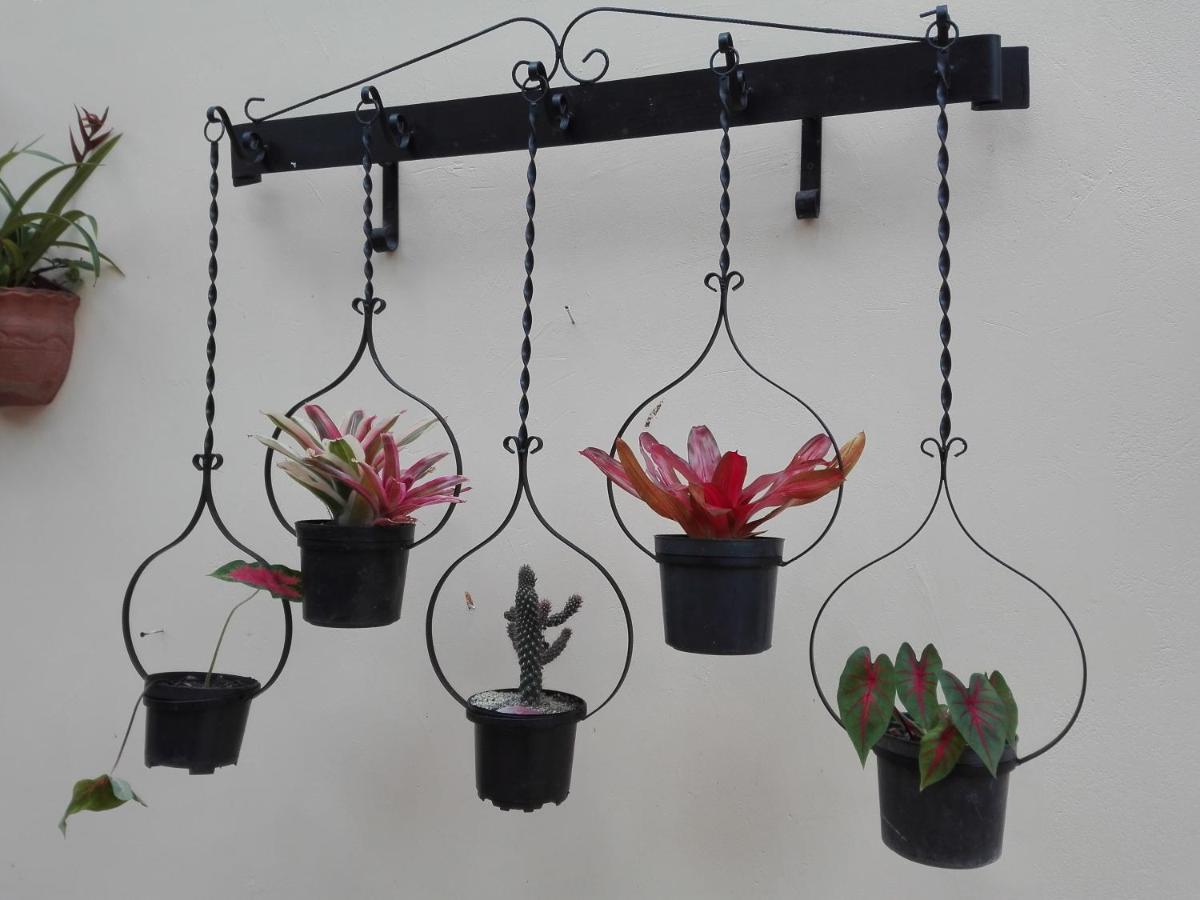 Mi Jardin Encantadoヴィラ エクステリア 写真