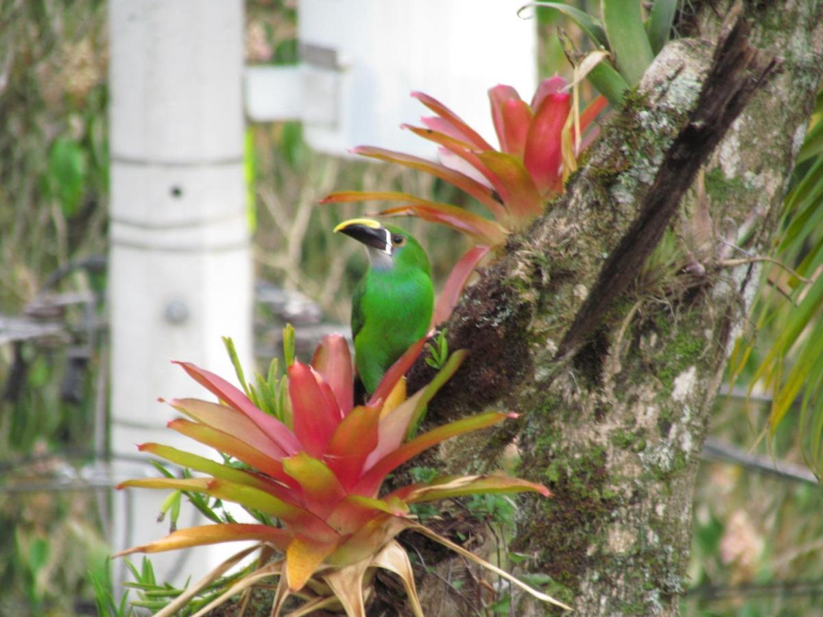 Mi Jardin Encantadoヴィラ エクステリア 写真