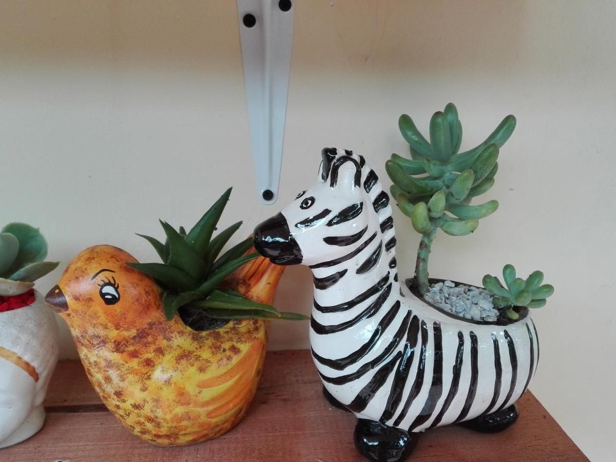 Mi Jardin Encantadoヴィラ エクステリア 写真