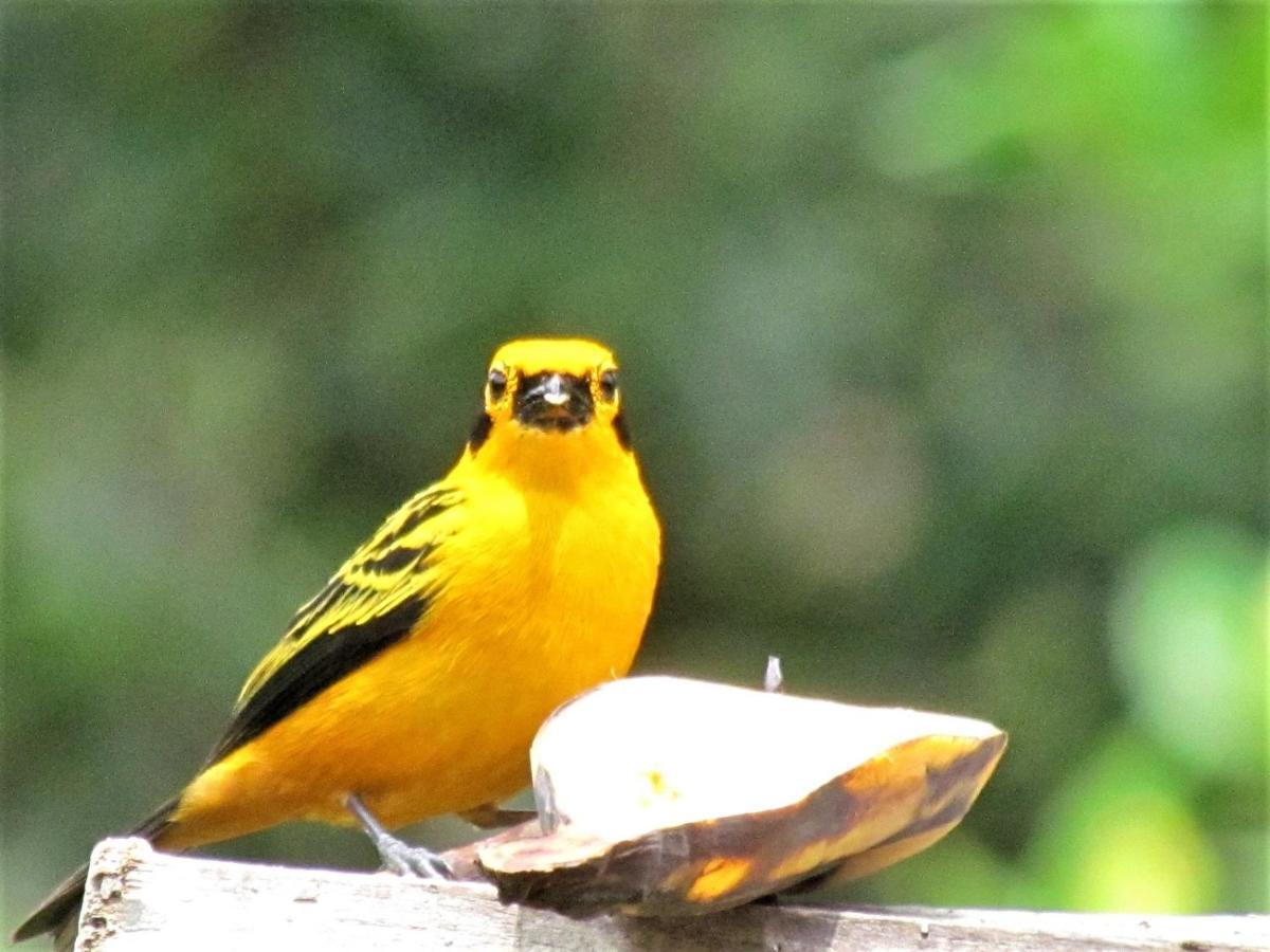 Mi Jardin Encantadoヴィラ エクステリア 写真