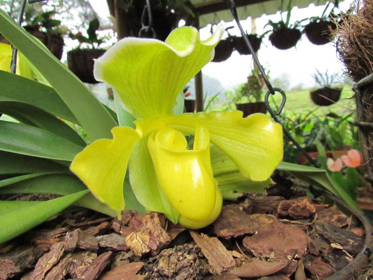 Mi Jardin Encantadoヴィラ エクステリア 写真