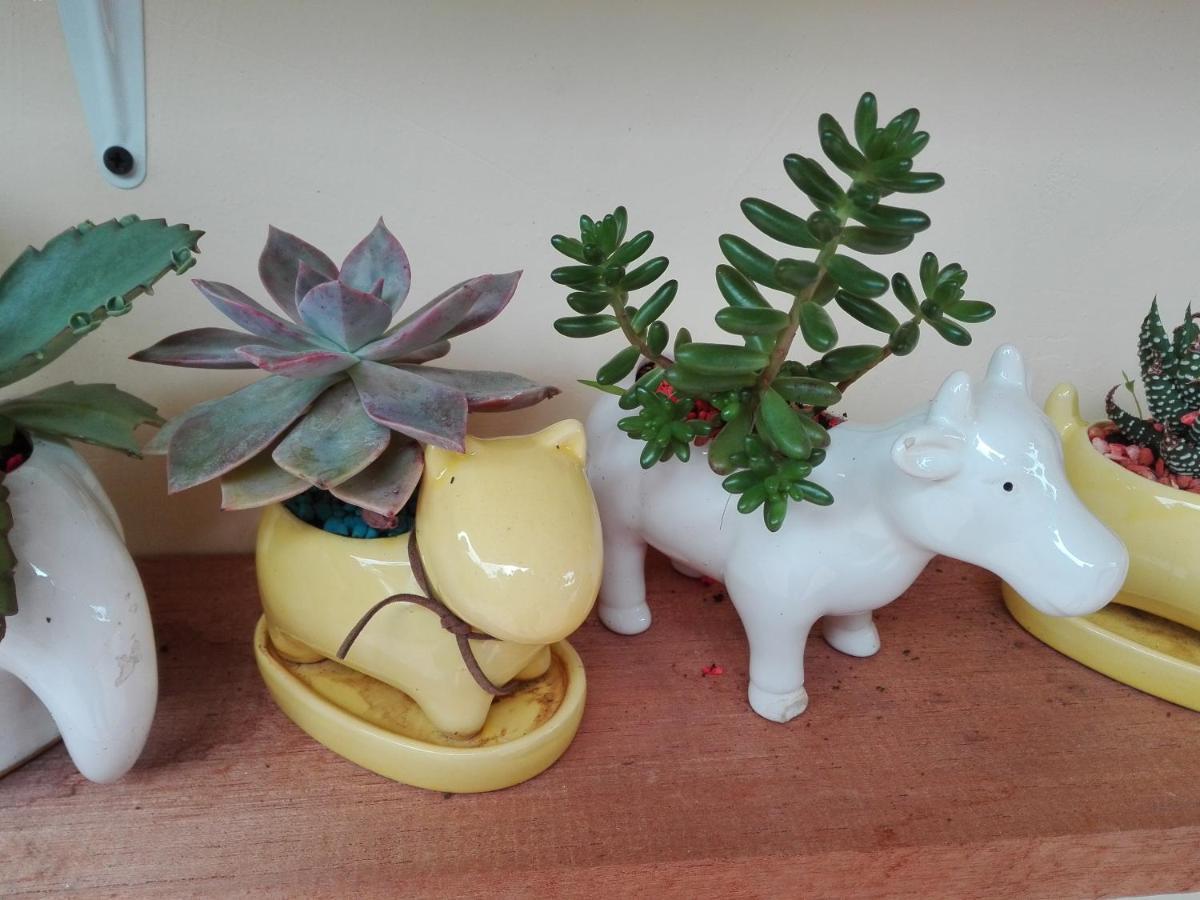 Mi Jardin Encantadoヴィラ エクステリア 写真