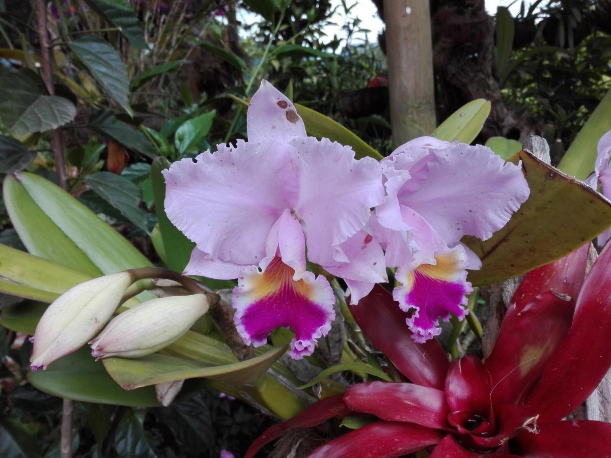 Mi Jardin Encantadoヴィラ エクステリア 写真